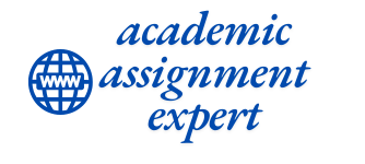 Academic Assignment Expert